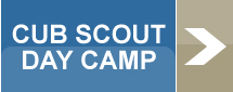 Cub Scout Day Camp Button